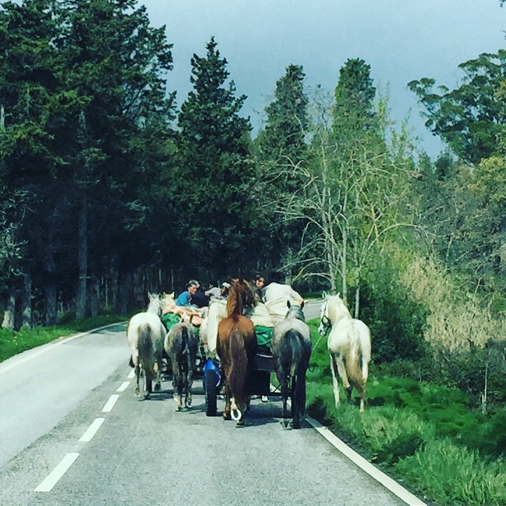 gipsy, ciganos, nómadas